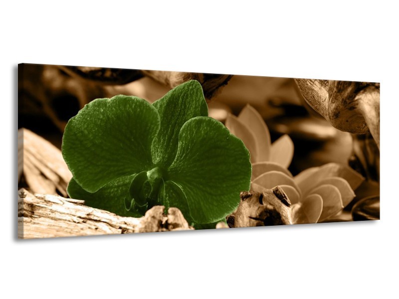 Canvas schilderij Orchidee | Groen, Bruin | 145x58cm 1Luik
