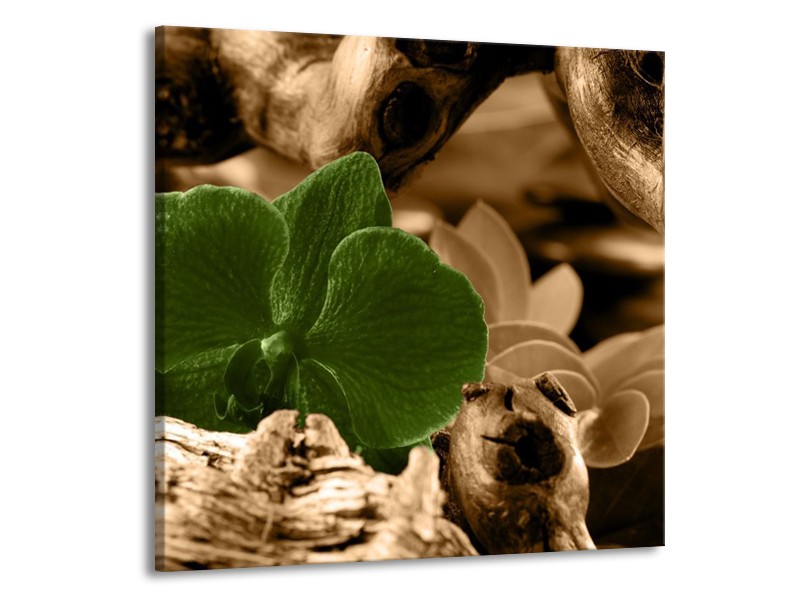 Canvas schilderij Orchidee | Groen, Bruin | 70x70cm 1Luik