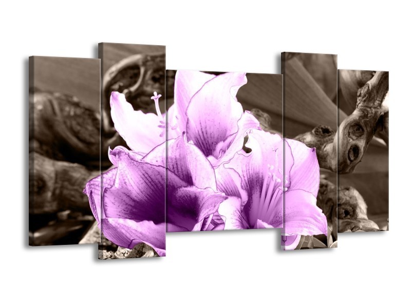 Canvas schilderij Bloem | Paars, Grijs | 120x65 5Luik