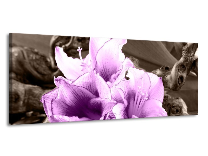 Canvas schilderij Bloem | Paars, Grijs | 145x58cm 1Luik