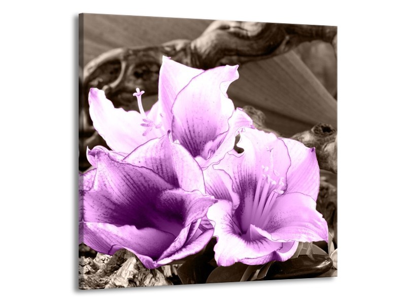 Canvas schilderij Bloem | Paars, Grijs | 70x70cm 1Luik