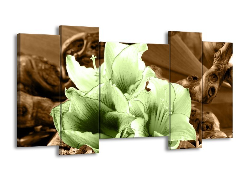Canvas schilderij Bloem | Groen, Bruin | 120x65 5Luik