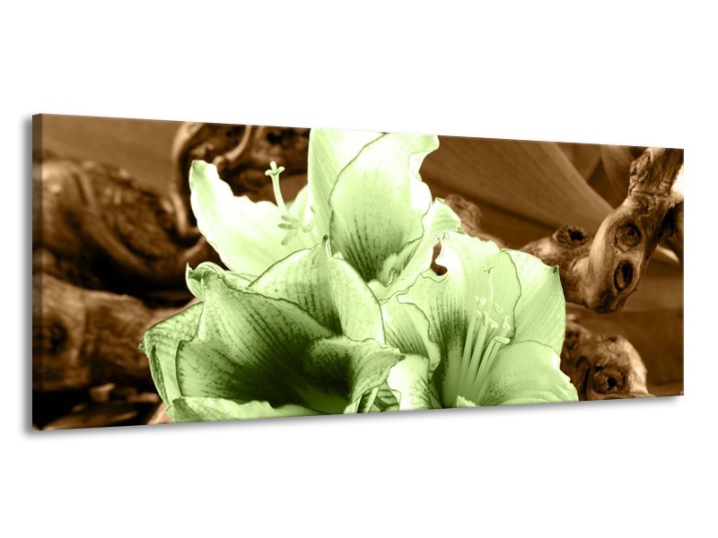 Canvas schilderij Bloem | Groen, Bruin | 145x58cm 1Luik