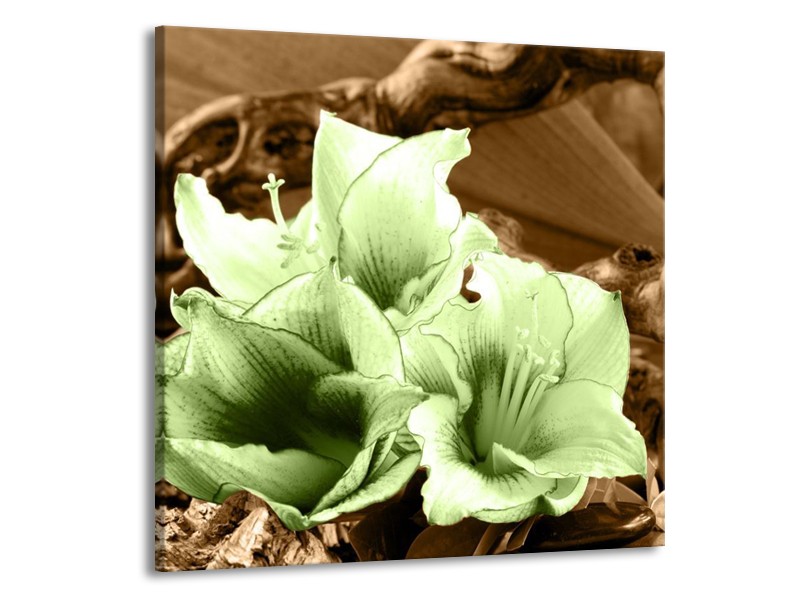 Canvas schilderij Bloem | Groen, Bruin | 70x70cm 1Luik