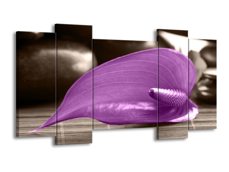 Canvas schilderij Blad | Paars, Grijs | 120x65 5Luik