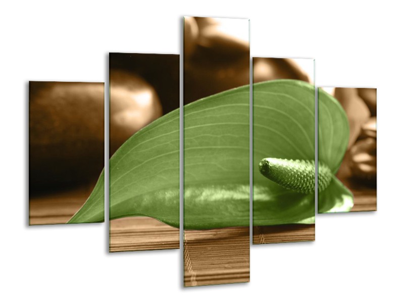 Canvas schilderij Blad | Groen, Bruin | 100x70cm 5Luik