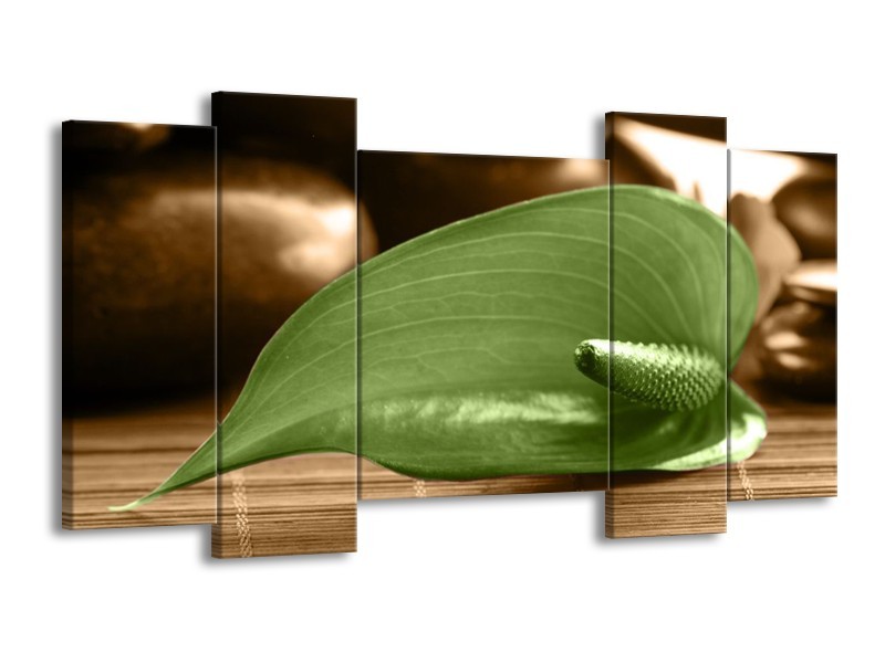 Canvas schilderij Blad | Groen, Bruin | 120x65 5Luik