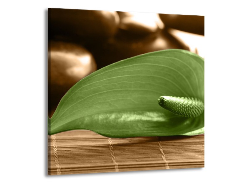 Canvas schilderij Blad | Groen, Bruin | 70x70cm 1Luik