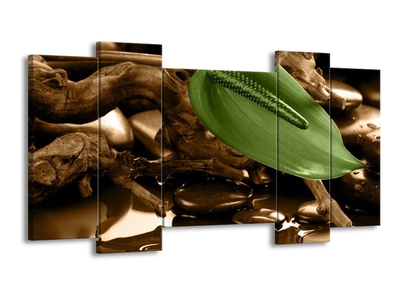 Canvas schilderij Blad | Groen, Bruin | 120x65 5Luik