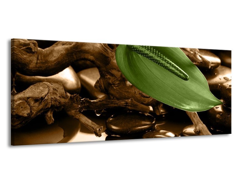 Canvas schilderij Blad | Groen, Bruin | 145x58cm 1Luik