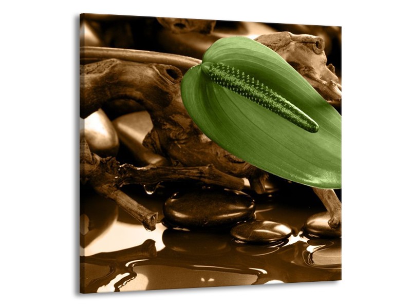 Canvas schilderij Blad | Groen, Bruin | 70x70cm 1Luik
