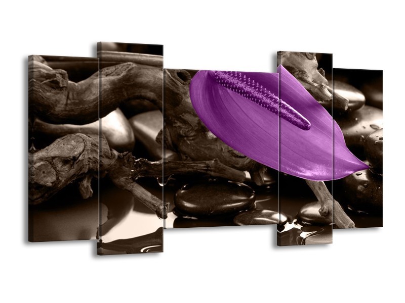 Canvas schilderij Blad | Paars, Grijs | 120x65 5Luik