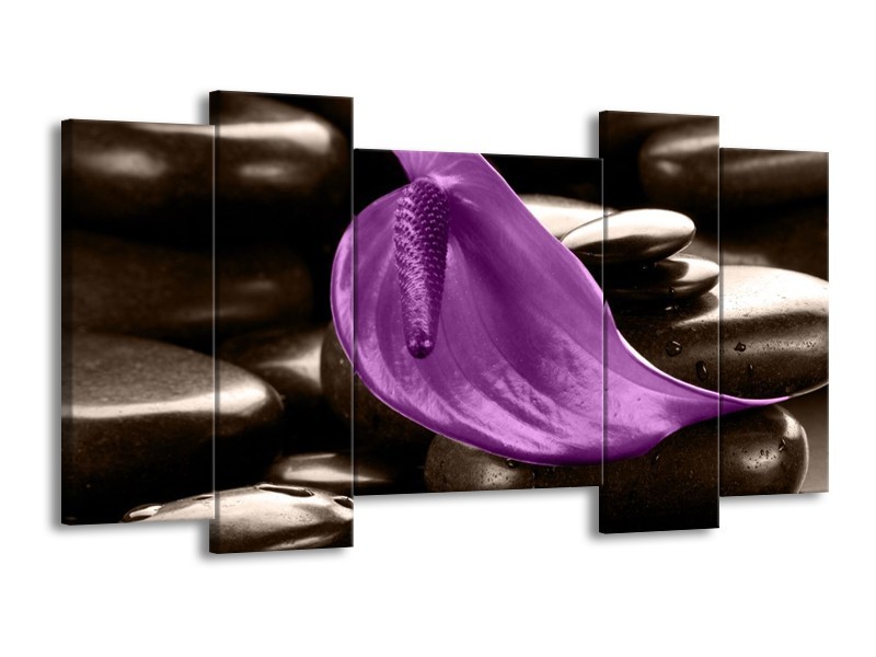 Canvas schilderij Blad | Paars, Grijs | 120x65 5Luik