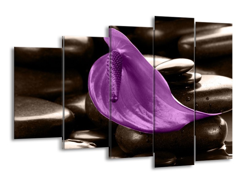 Canvas schilderij Blad | Paars, Grijs | 150x100cm 5Luik