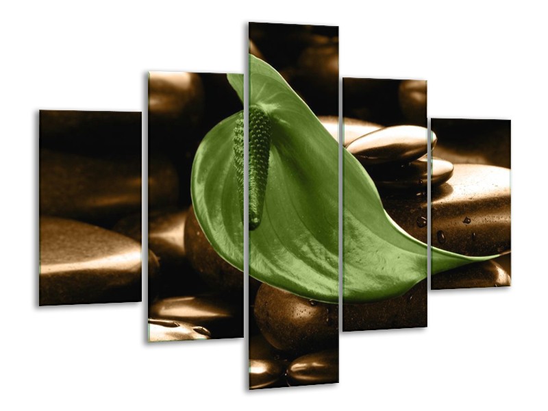 Canvas schilderij Blad | Bruin, Groen | 100x70cm 5Luik