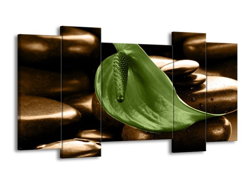 Canvas schilderij Blad | Bruin, Groen | 120x65 5Luik