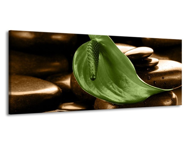 Canvas schilderij Blad | Bruin, Groen | 145x58cm 1Luik
