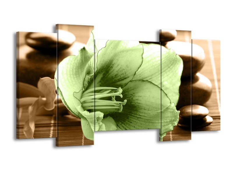 Canvas schilderij Orchidee | Groen, Bruin | 120x65 5Luik