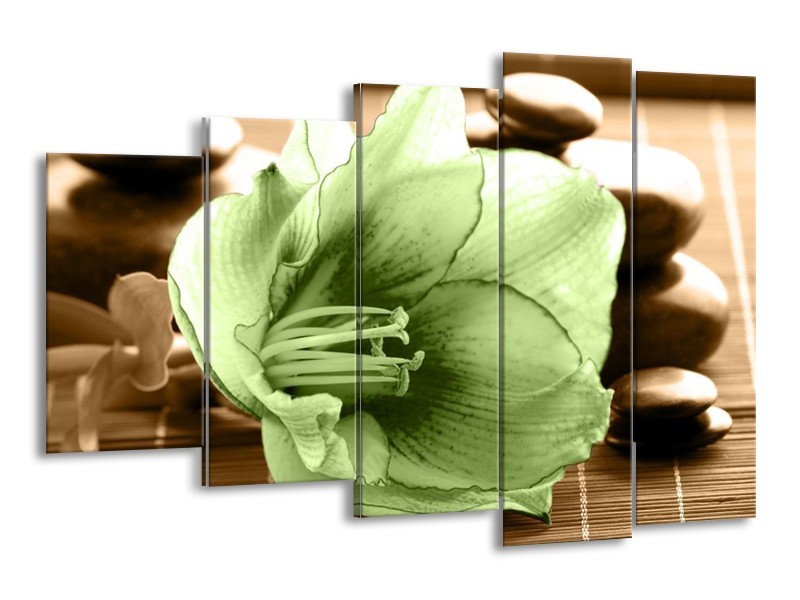 Canvas schilderij Orchidee | Groen, Bruin | 150x100cm 5Luik