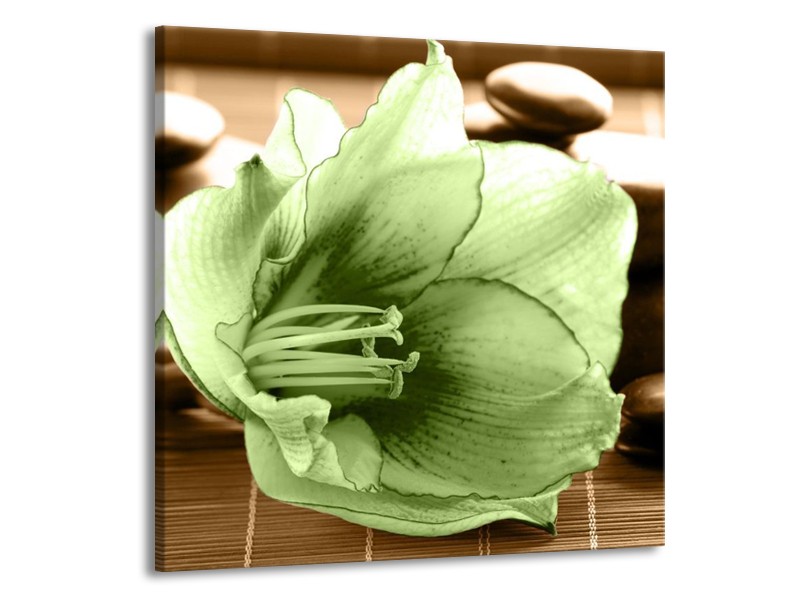 Canvas schilderij Orchidee | Groen, Bruin | 70x70cm 1Luik