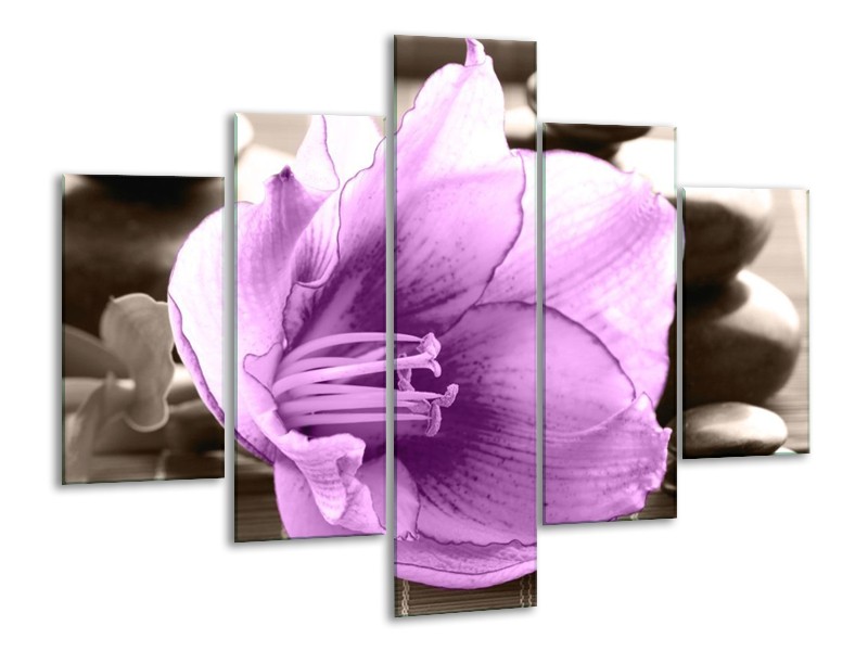 Canvas schilderij Orchidee | Paars, Grijs | 100x70cm 5Luik