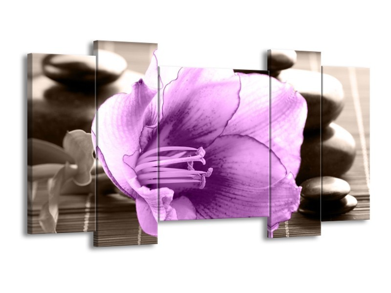 Canvas schilderij Orchidee | Paars, Grijs | 120x65 5Luik