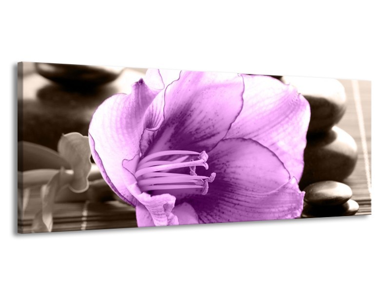 Canvas schilderij Orchidee | Paars, Grijs | 145x58cm 1Luik