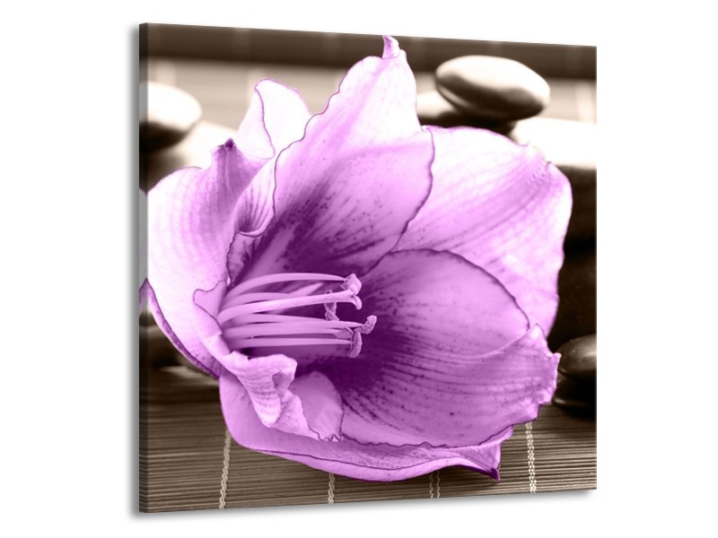 Canvas schilderij Orchidee | Paars, Grijs | 70x70cm 1Luik