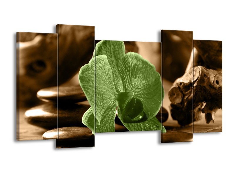 Canvas schilderij Orchidee | Groen, Bruin | 120x65 5Luik