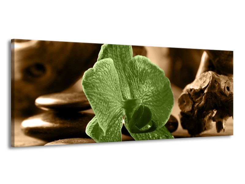 Canvas schilderij Orchidee | Groen, Bruin | 145x58cm 1Luik