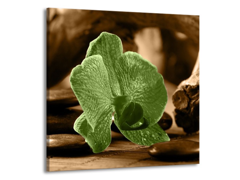 Canvas schilderij Orchidee | Groen, Bruin | 70x70cm 1Luik