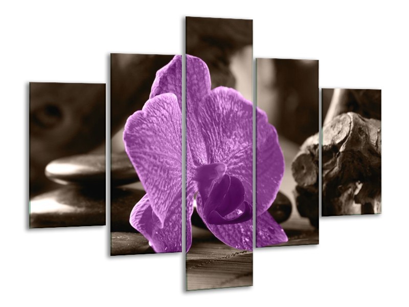 Canvas schilderij Orchidee | Paars, Grijs | 100x70cm 5Luik