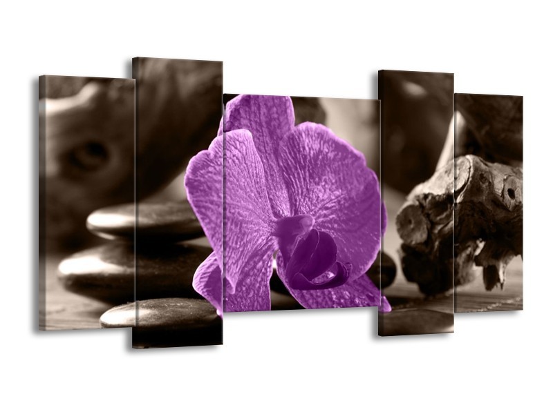 Canvas schilderij Orchidee | Paars, Grijs | 120x65 5Luik