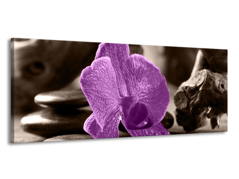 Canvas schilderij Orchidee | Paars, Grijs | 145x58cm 1Luik