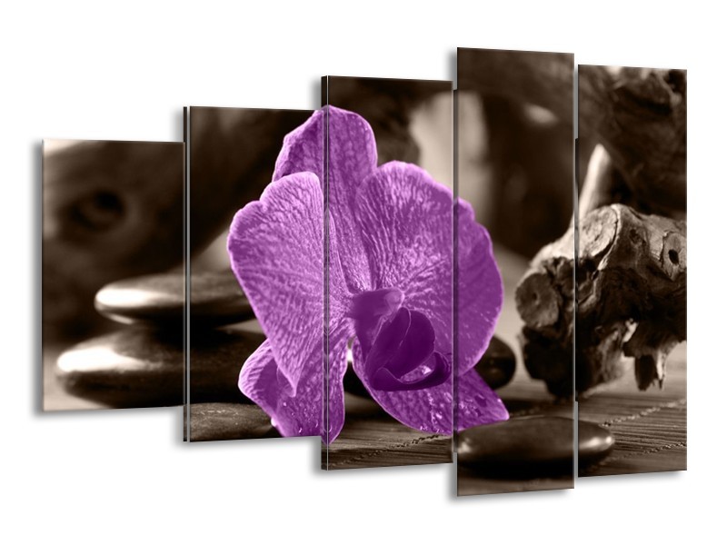 Canvas schilderij Orchidee | Paars, Grijs | 150x100cm 5Luik