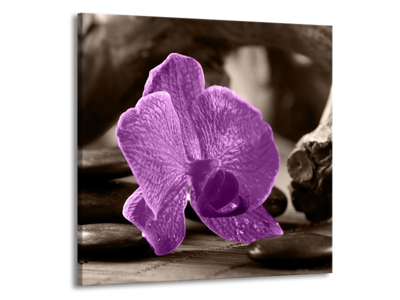 Canvas schilderij Orchidee | Paars, Grijs | 70x70cm 1Luik