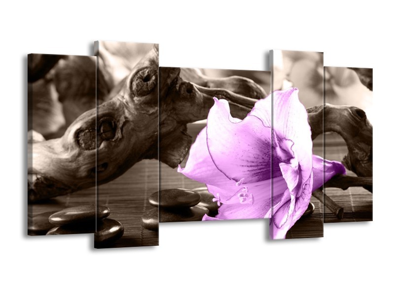 Canvas schilderij Orchidee | Paars, Grijs | 120x65 5Luik