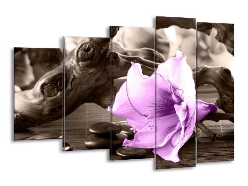 Canvas schilderij Orchidee | Paars, Grijs | 150x100cm 5Luik