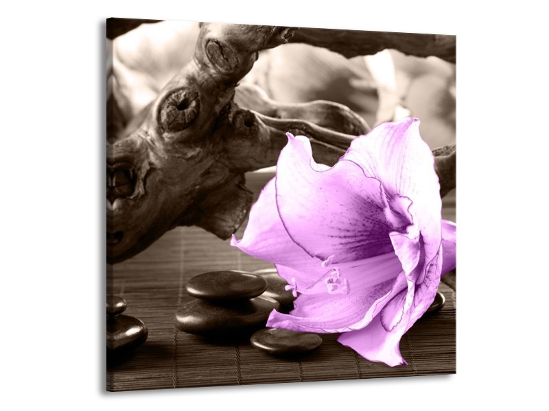 Canvas schilderij Orchidee | Paars, Grijs | 70x70cm 1Luik