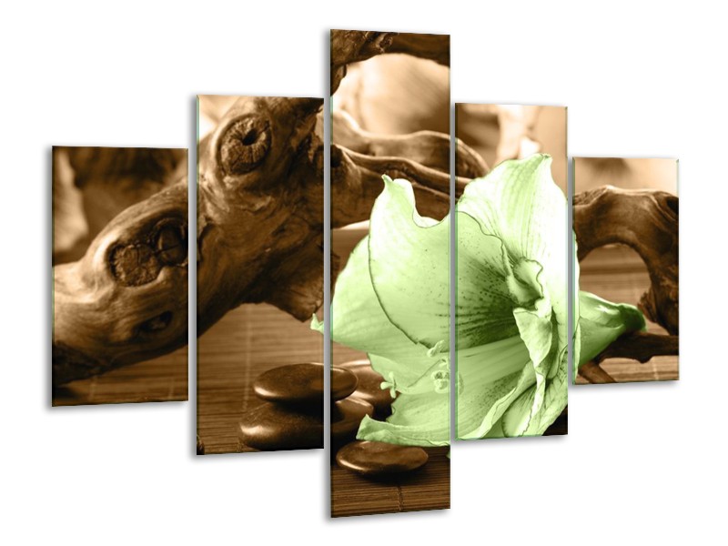 Canvas schilderij Orchidee | Groen, Bruin | 100x70cm 5Luik