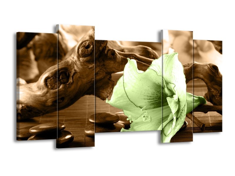 Canvas schilderij Orchidee | Groen, Bruin | 120x65 5Luik