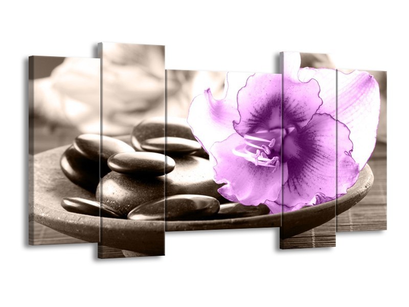 Canvas schilderij Orchidee | Paars, Grijs | 120x65 5Luik