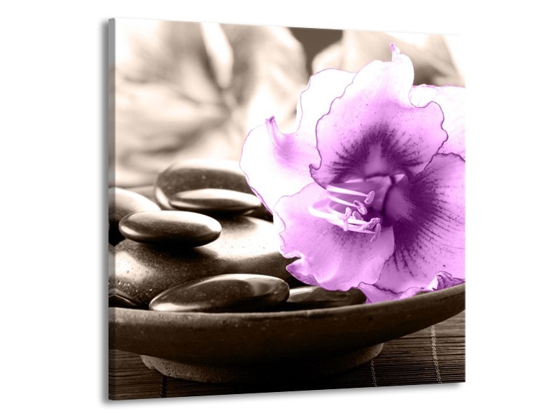 Canvas schilderij Orchidee | Paars, Grijs | 70x70cm 1Luik