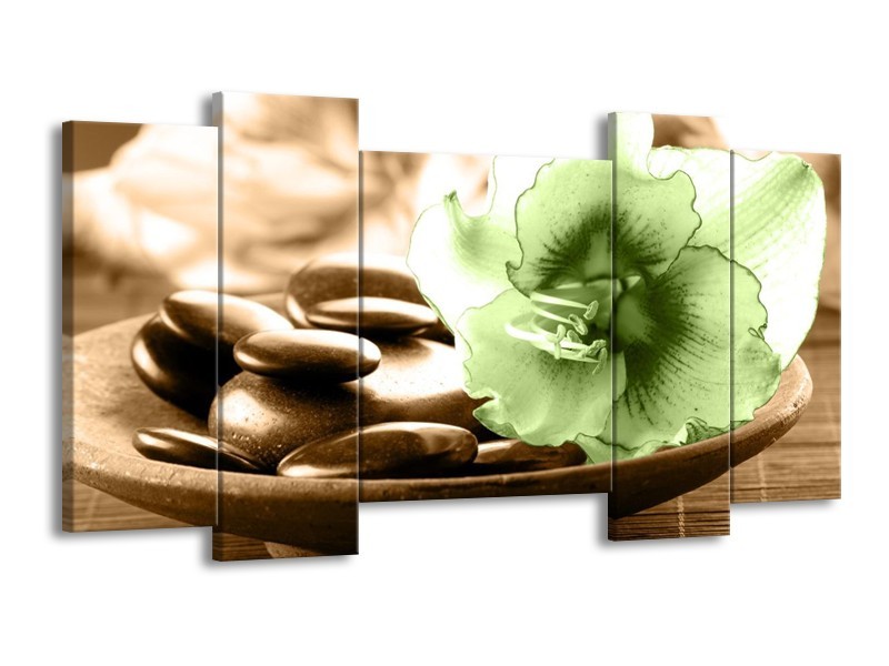 Canvas schilderij Orchidee | Groen, Bruin | 120x65 5Luik