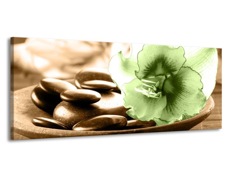 Canvas schilderij Orchidee | Groen, Bruin | 145x58cm 1Luik