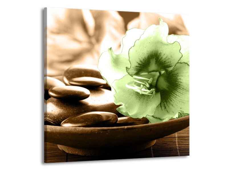 Canvas schilderij Orchidee | Groen, Bruin | 70x70cm 1Luik