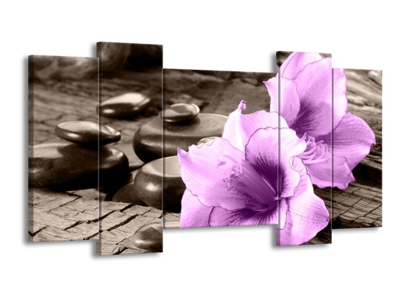 Canvas schilderij Orchidee | Paars, Grijs | 120x65 5Luik