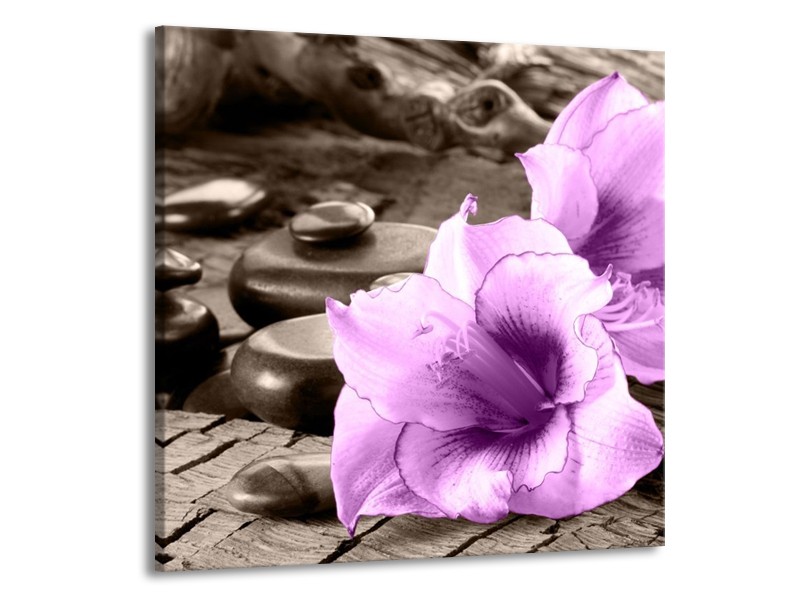 Canvas schilderij Orchidee | Paars, Grijs | 70x70cm 1Luik