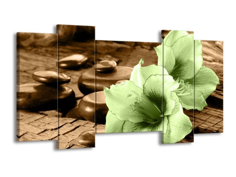 Canvas schilderij Orchidee | Groen, Bruin | 120x65 5Luik