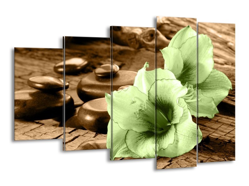 Canvas schilderij Orchidee | Groen, Bruin | 150x100cm 5Luik